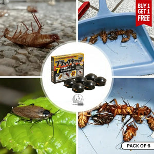 Japanese Cockroach Bait Station (Pack of 6 Pcs)