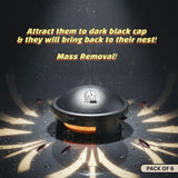 Japanese Cockroach Bait Station (Pack of 6 Pcs)