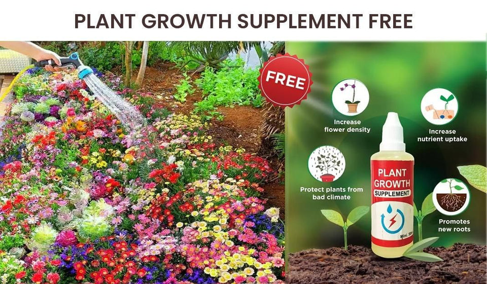 Premium™ Imported Blossom Flower Seeds ( Pack Of 100) + Plant Growth Supplement Free